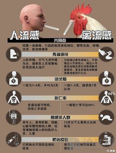 嘎玛仁波切：什么才是真正的佛？