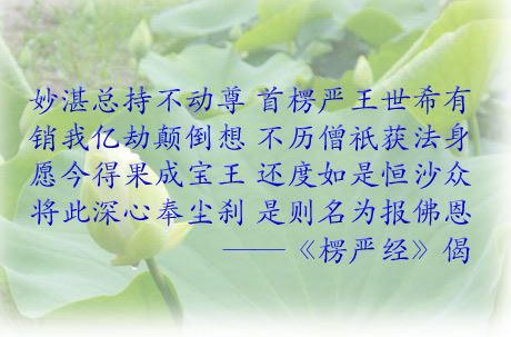净界法师