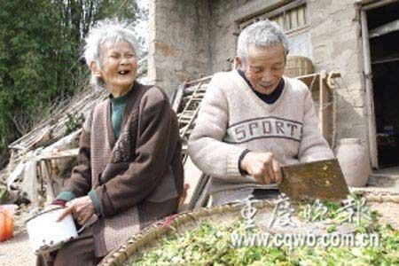 净土法门法师：一生的法布施，抵不过一句阿弥陀佛