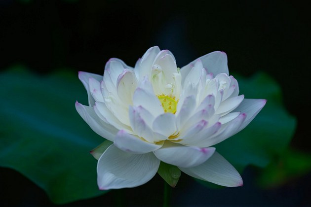 菩萨行果——菩萨行位
