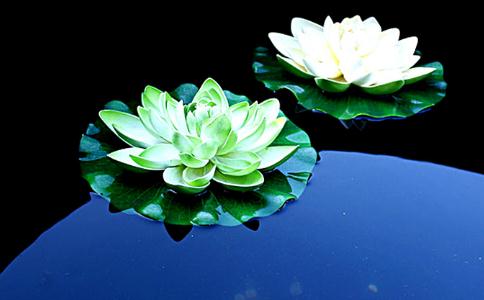 得遇善师令我们免受沉沦之苦