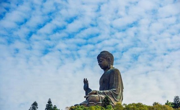 不管念佛与否都希望你抓紧时间