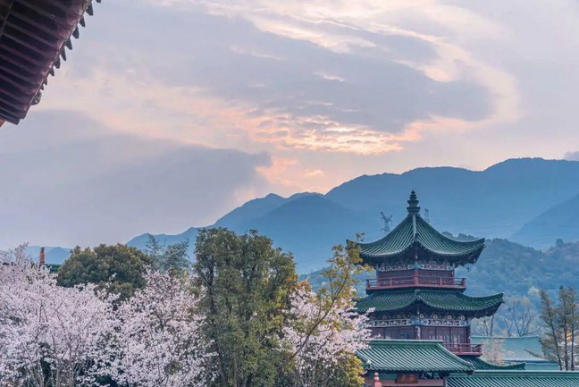只此数语，便是念佛三昧秘要