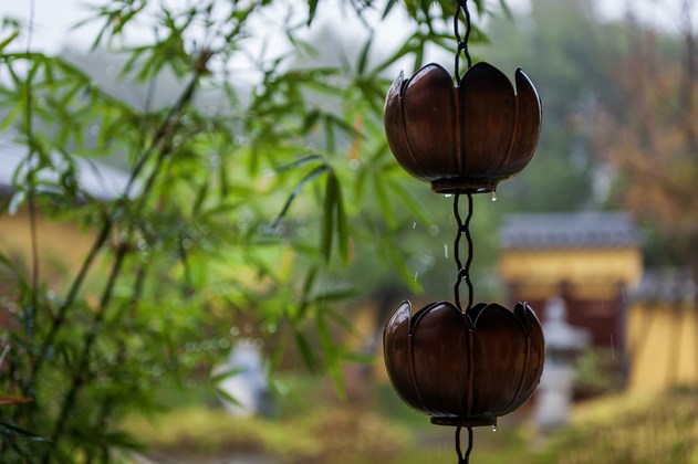 看人家都没有德，其实是你自己没德