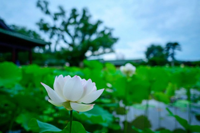 你要用什么思想来面对果报
