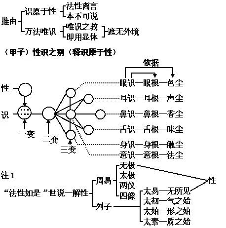 唯识中的「异熟能变」