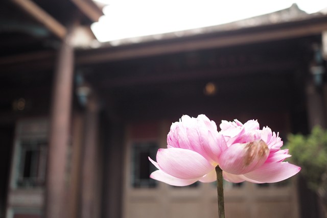「善念」和「善根」的差别