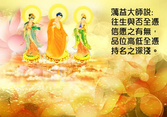 穿透力极强的光明悲愿