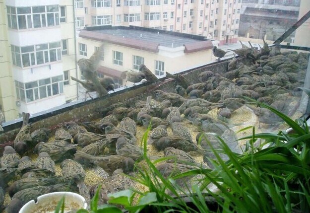 民国高僧谛闲法师