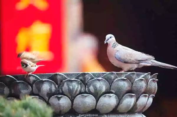 得与如是诸上善人俱会一处