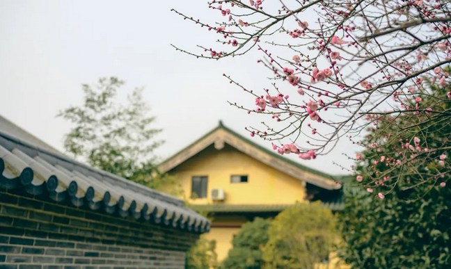 感应道交有四种差别