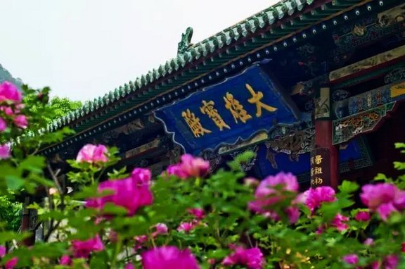 业果和定业能不能转?