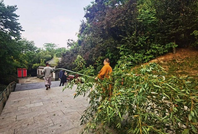 什么样的修行人才能住山