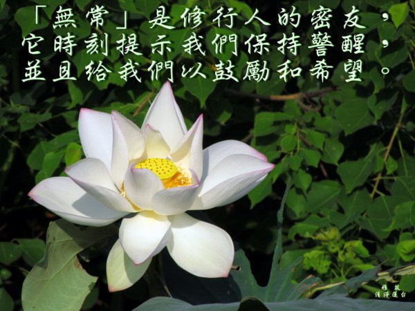 大乘佛法皆说空与不空两方面