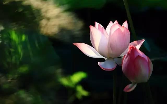 天乘四种禅定之初禅
