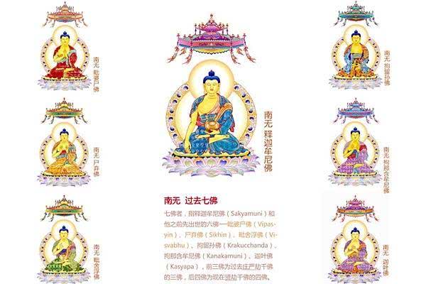 为什么这七尊佛常常被放在一起