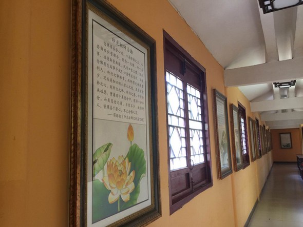 一向专志庄严妙土