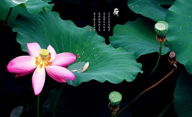 改形易道，这个是生命的真相
