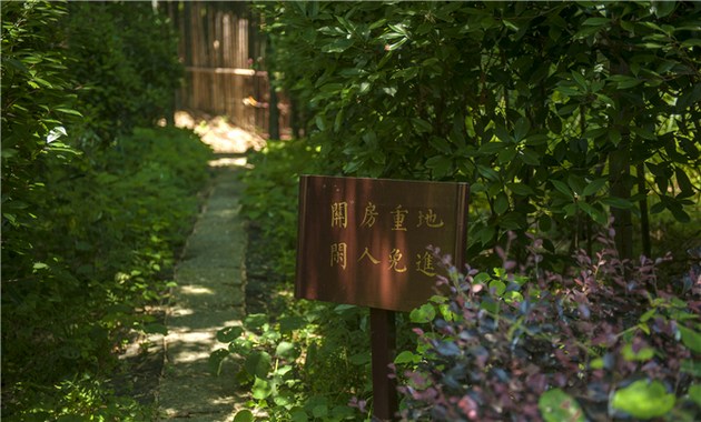 在宗门下得了好处的人，那不是学来的