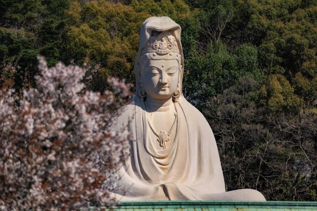 忆念菩萨的圣号，要生感恩心