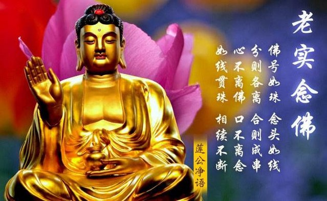 学佛可以不求生极乐世界吗