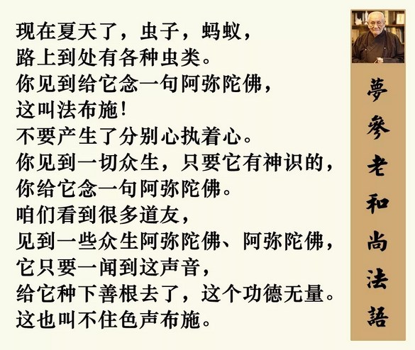 误伤踩死虫子怎么办？早晨起来先念这个偈