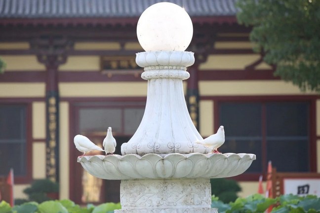 世间人都爱黄金，但真正修道人爱刹那静