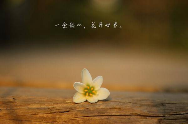 当心平静下来，头脑也会清楚一些
