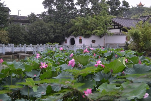 你要修福修慧，这句名号就完全具足了