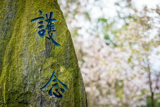 闭关念佛截住妄念流