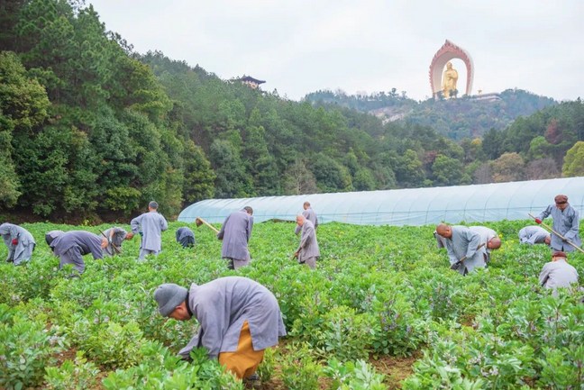 念佛为什么要发菩提心
