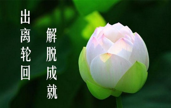 念阿弥陀佛求生到极乐世界的法门，真的是太简便了