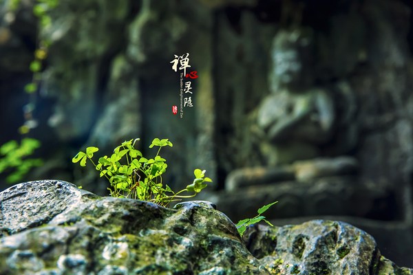 心境决定你的处境
