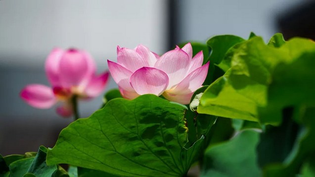 人生的关卡可大可小