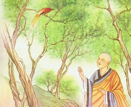 修行还是以念佛为稳当