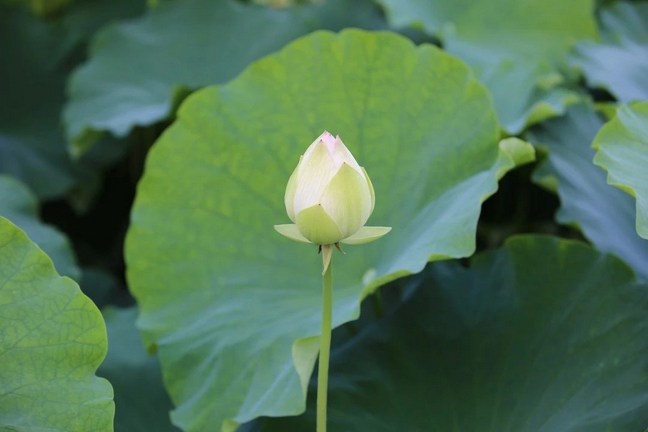 不要觉得人生亏欠了我们