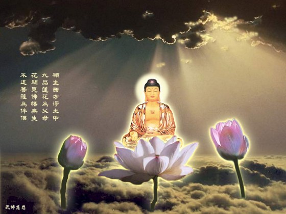 只要往生极乐，所有的愿都能实现