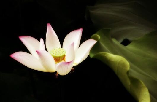 离开一切幻灭就是真实