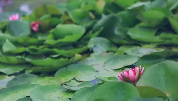现阶段你还无法度仙界冥界的众生