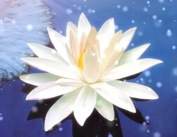 弘一大师开示写字的方法
