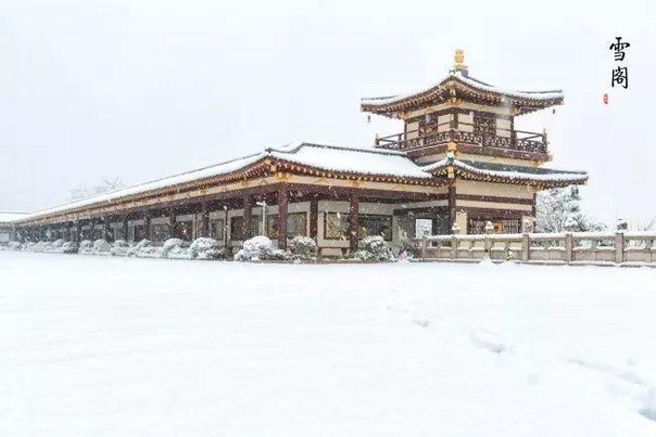 修无常观，破除对今生的爱取