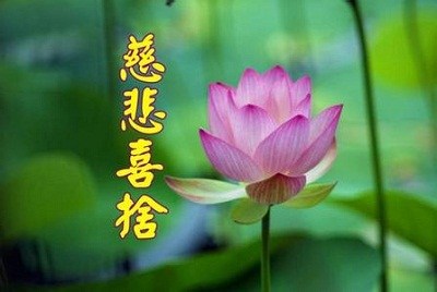 慈悲喜舍，我们平时可以这样做