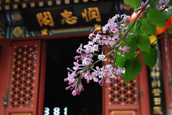 日常生活俗事太多该怎么修