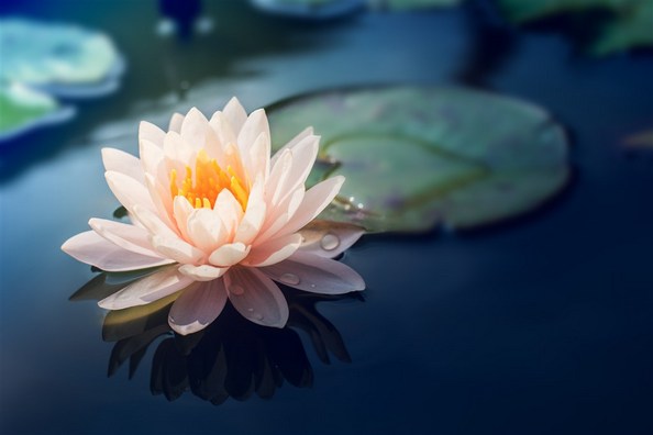 淫女惑人成骷髅