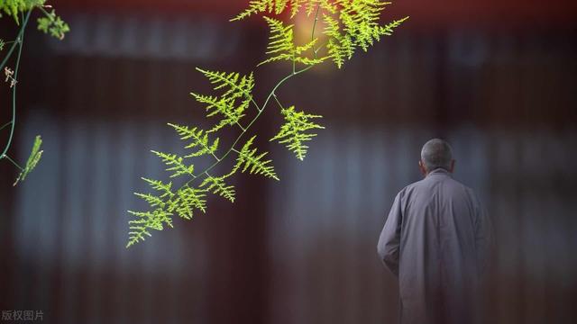 中道实相是佛所要说的真实义