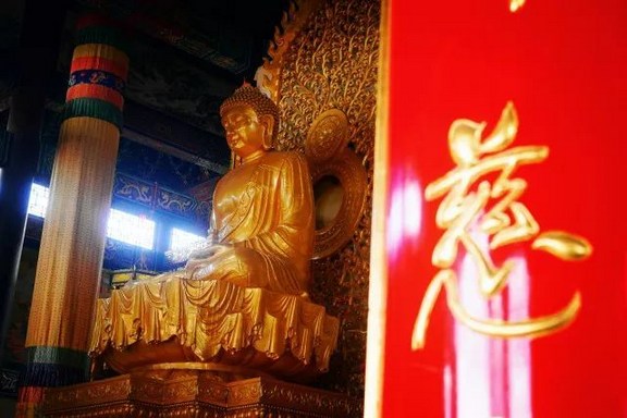 学佛的三不退