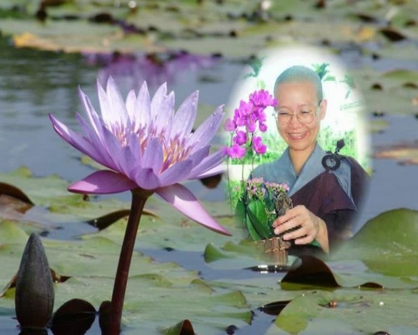 道证法师预知时至，回归弥陀愿海