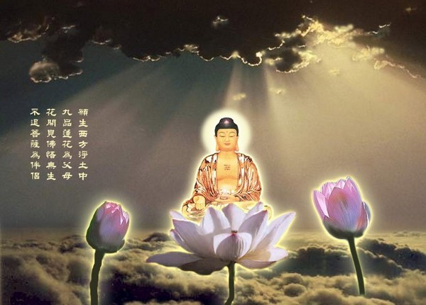 修学净土难相应的原因何在