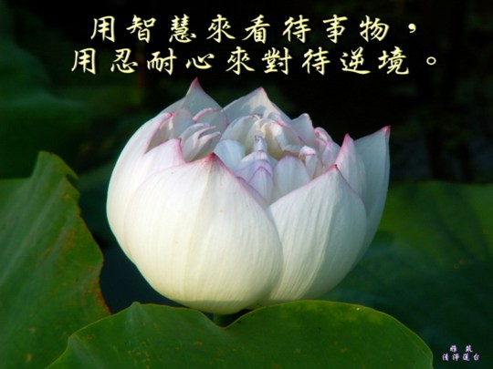 「五福临门」从何而来