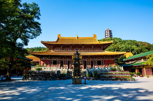 这么简易的法门，为何你却不修